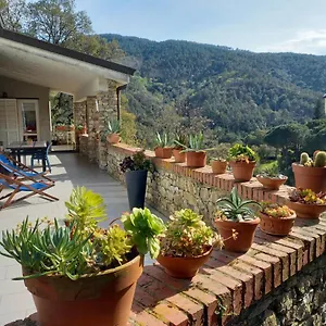 Ai Sugheri Apartment